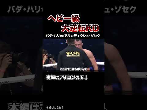 【衝撃】一瞬でひっくり返ったヘビー級大逆転KO7選！【格闘技】 #格闘技 #ボクシング #MMA