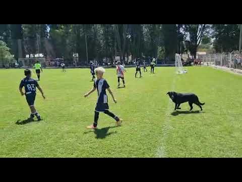 Comenzó el Cebollitas en General Pico