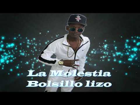 La Molestia - Lo Bolsillo Lizo