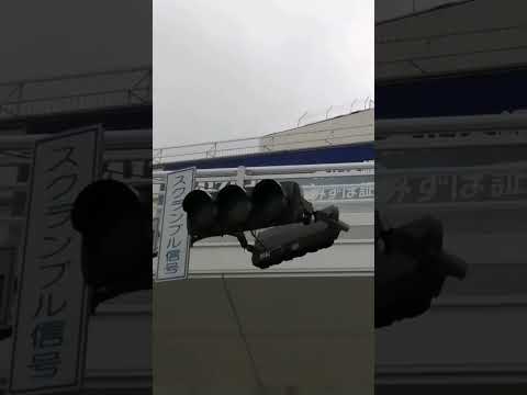 完璧な波: 将来の VW モデルは信号機と通信するようになる