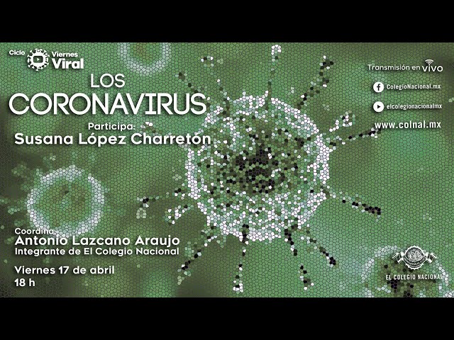 Los coronavirus