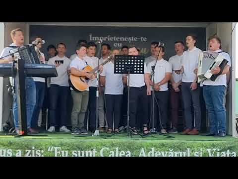 Grupul de băieţi,  Daia Romana...Tu Pribeag călator