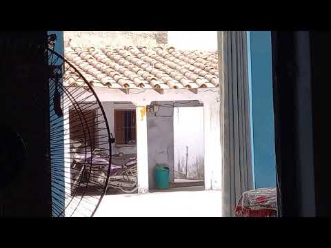 Samsung Galaxy A12 New Launch : Camera Zoom Review - You Must Buy It 48Mp Camera