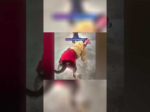 Delicious Sandwich Recipes  Elevate Your Lunch Game!