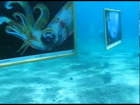 4th. Eilat U/W photography and painting festival