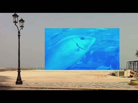 Dubai, VAE