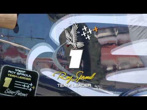 Silver Falcons (The Roy Sproul Tribute)