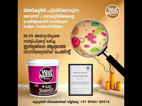 Sunlyte Ceiling Paint