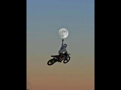 Bad and Boujee x Butterfly