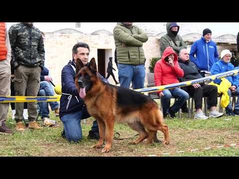 ZET vom Napte-Emmer-Eck