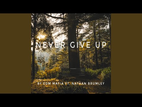 Never Give Up (feat. Nathan Brumley)