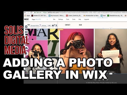 Tutorial - How to Add A Gallery in Wix