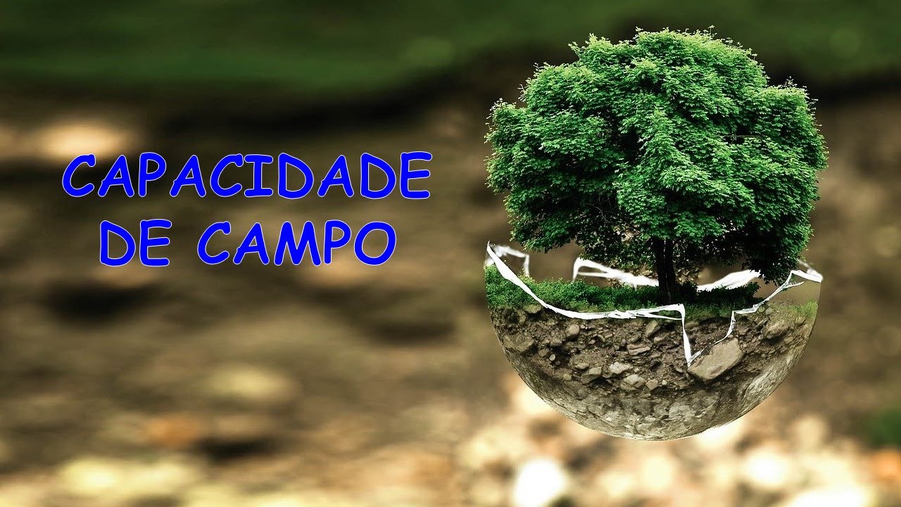 Capacidade de Campo