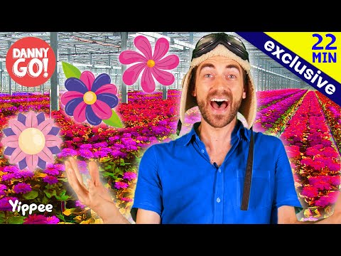 Exploring a GIANT Greenhouse 🌺🌸🌷| Danny Go! Songs for Kids | FULL EPISODE | Yippee Kids TV