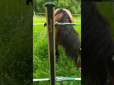 geniale flexible Pferdekoppeln mit verschwindener Litze