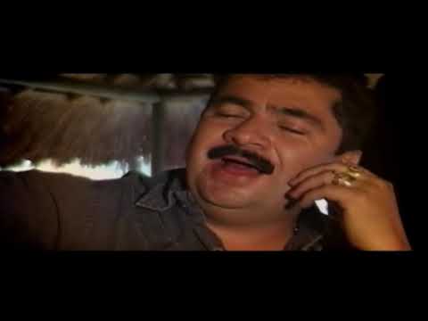 EL GATO NEGRO SE PIERDE Y SE GANA