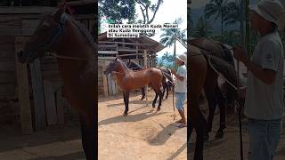 Download lagu Inilah cara melatih Kuda Menari atau Kuda Renggong 🐎 #kudarenggong #kuda mp3