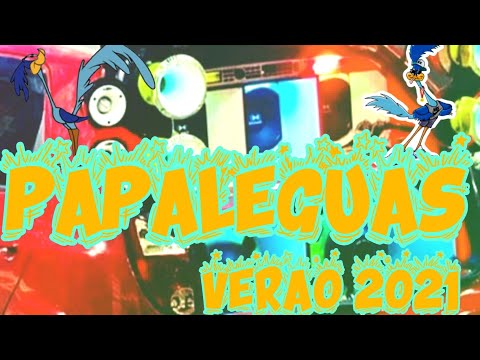 PAPALEGUAS PRA PAREDÃO MÚSICAS NOVAS VERÃO 2021