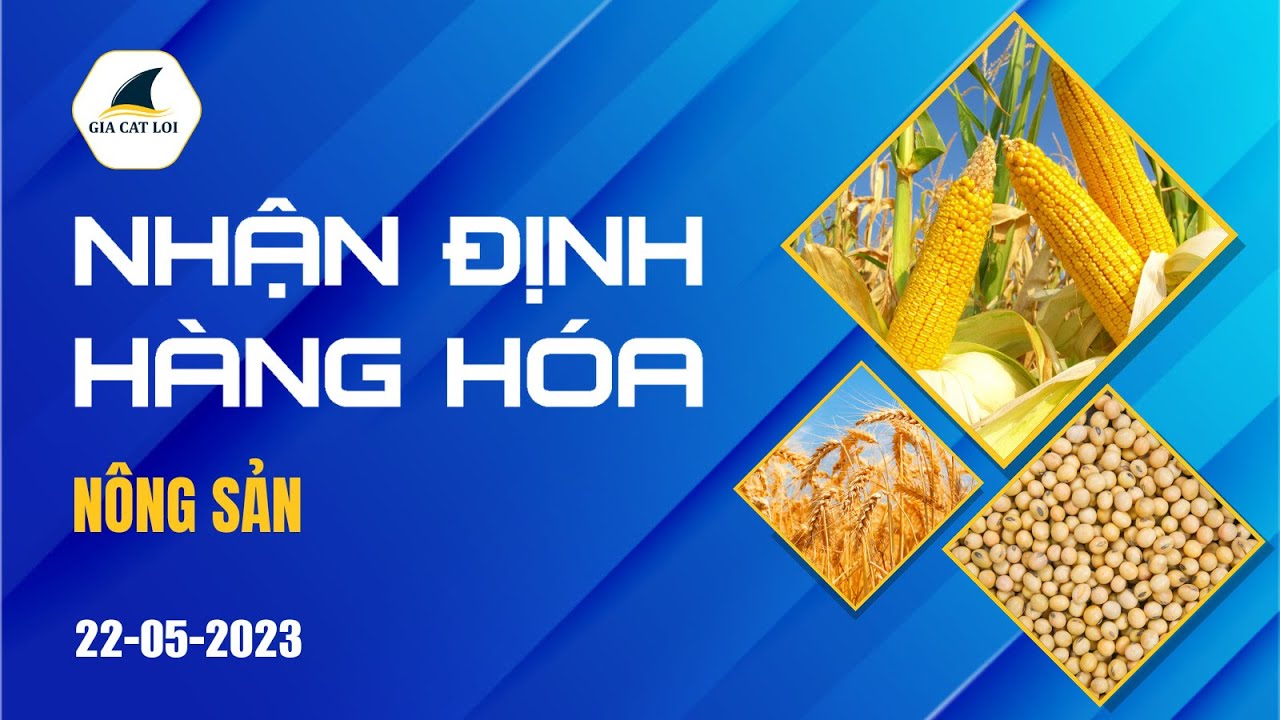 Nhận Định Hàng Hoá Nông Sản Ngày 22/05/2023