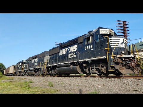 NS5816 NS5619 NS5666