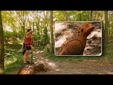 3D Archery near Vienna in the Vienna Woods / ARCHERY LOVE /