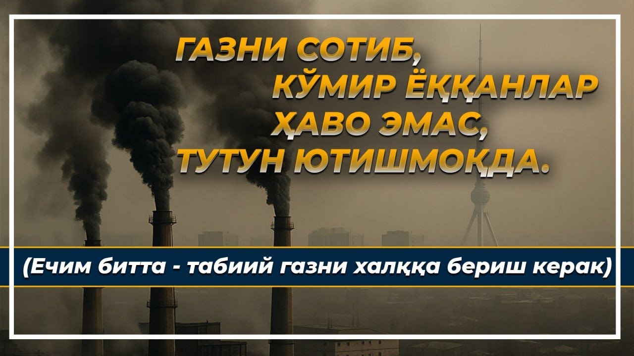 Негатив 606: Тошкент ҳавосини "инсон омили" бузди. Табиат эмас.