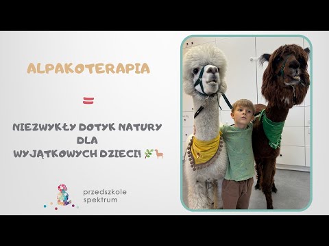Alpakoterapia - jako jedna z wielu metod rehabilitacji dziecka ze spektrum autyzmu