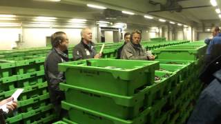 preview picture of video 'Hanstholm Fiskeauktion - R 231 salg af fisk'