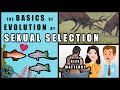 Sexual Selection The Basics Emphasis On Fishes Koaw Nature