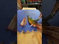 Video Thumbnail for Perch Boneless Fillet In 30 Seconds