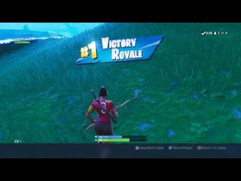 Leaky Lake Madness!! Solo 9 Kill Win - Fortnite Battle Royale