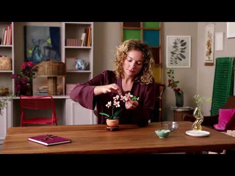 thumbnail video image 2 of Set LEGO Botanicals Miniorquídea Planta para regalar 10343, 2 of 5