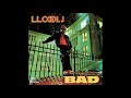 LL Cool J - Kanday (Album Version)