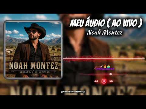 Noah Montez - Meu Áudio ( ao vivo )