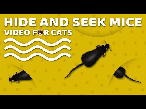 CAT GAMES MOUSE - Hide and Seek Mice! Video for Cats to Watch | CAT & DOG TV.