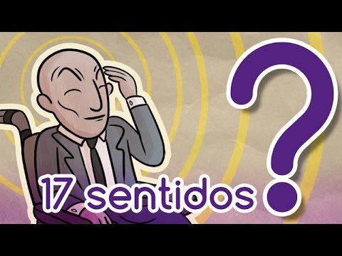 Do we have more than 5 senses? Other 12 senses you didn't know you have.- Curiosamente 72