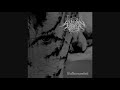 Sylvan Realm Waldeinsamkeit FULL ALBUM STREAM 2020