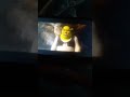 Shrek Forever After 2010 Animated Movie Trailer