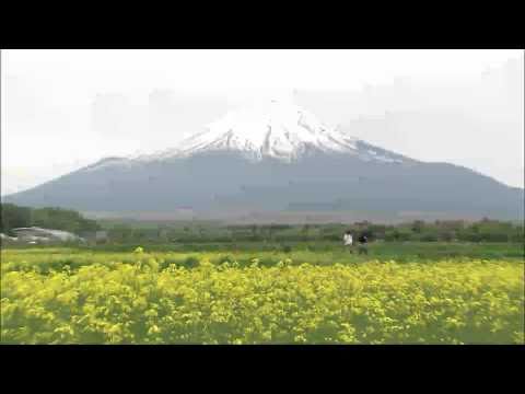 山中湖花の都公園（フルHD映像）
