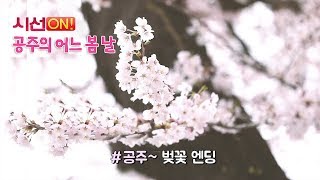 (흥미진진 공주) 공주의 어느 봄날(동학사 벚꽃축제, 벚꽃 십리길) 이미지