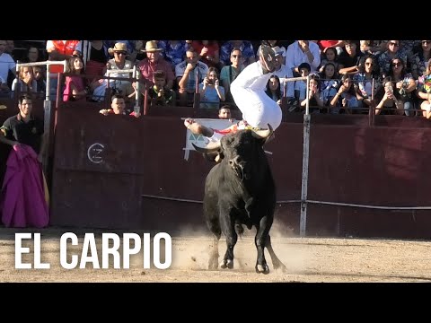 El Carpio 2024 Concurso con Toros Bravos