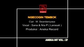 Download lagu Sana & Nia Prasetya - Ngecokin Tembok [ VIDEO] mp3