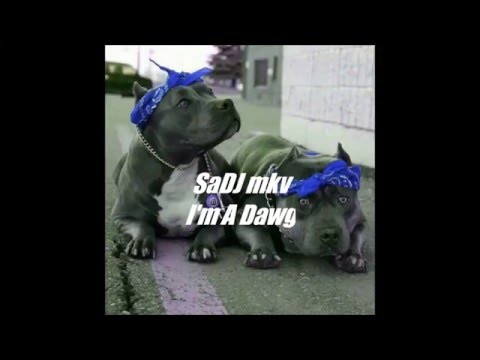 SaDj MkV - #Dawg [Kinder Bando](Avril2016)