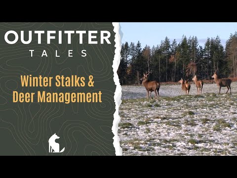 Outfitter Tales: Winter Stalks and Deer Management