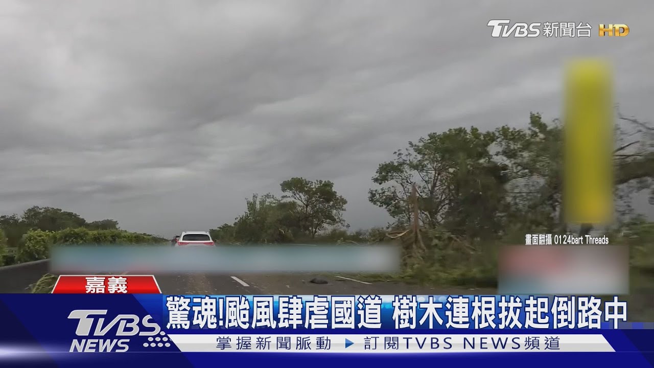 驚魂!樹木倒塌高速公路變「慢速」公路 駕駛雨中驚險穿梭