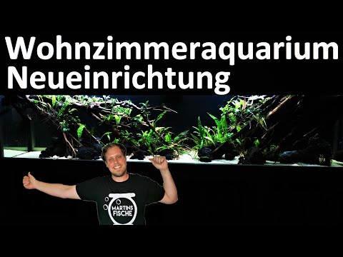 Teil 2/2  Wohnzimmeraquarium KOMPLETTE UMGESTALTUNG - Neue Einrichtung