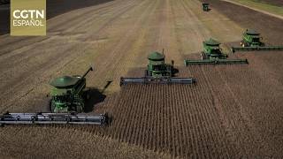 El conflicto en Oriente Medio altera el rumbo de las exportaciones de granos de Brasil