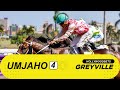 20251012 IsiZulu Hollywoodbets Greyville Race 4 Won By COGNAC