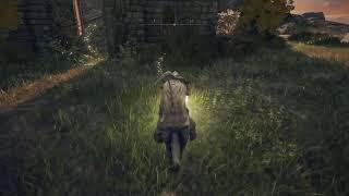 [完全初見]ノエデンリング　その5