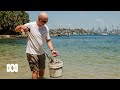 The 'Guardian of Sydney Harbour' dedicates his life to collecting rubbish | ABC Australia